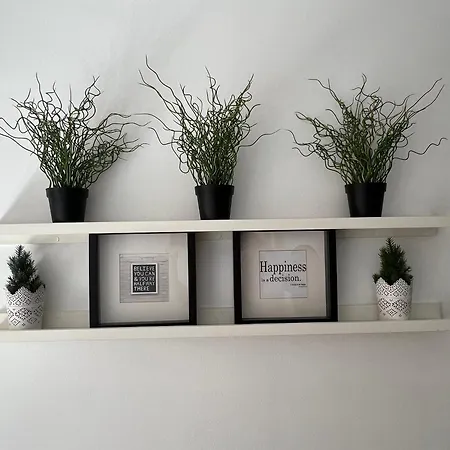 Cozy Stay Apartment Belgrad Dış mekan fotoğraf