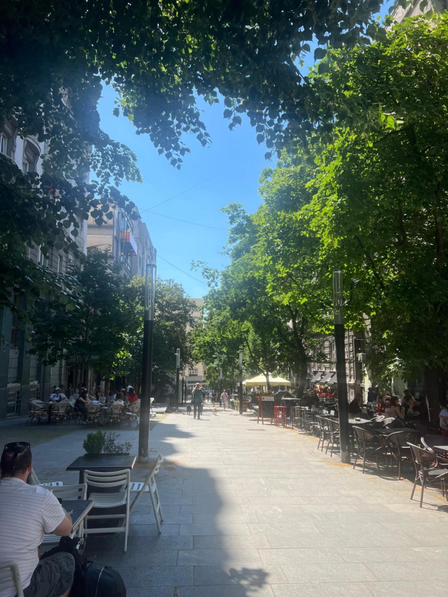Cozy * Belgrade