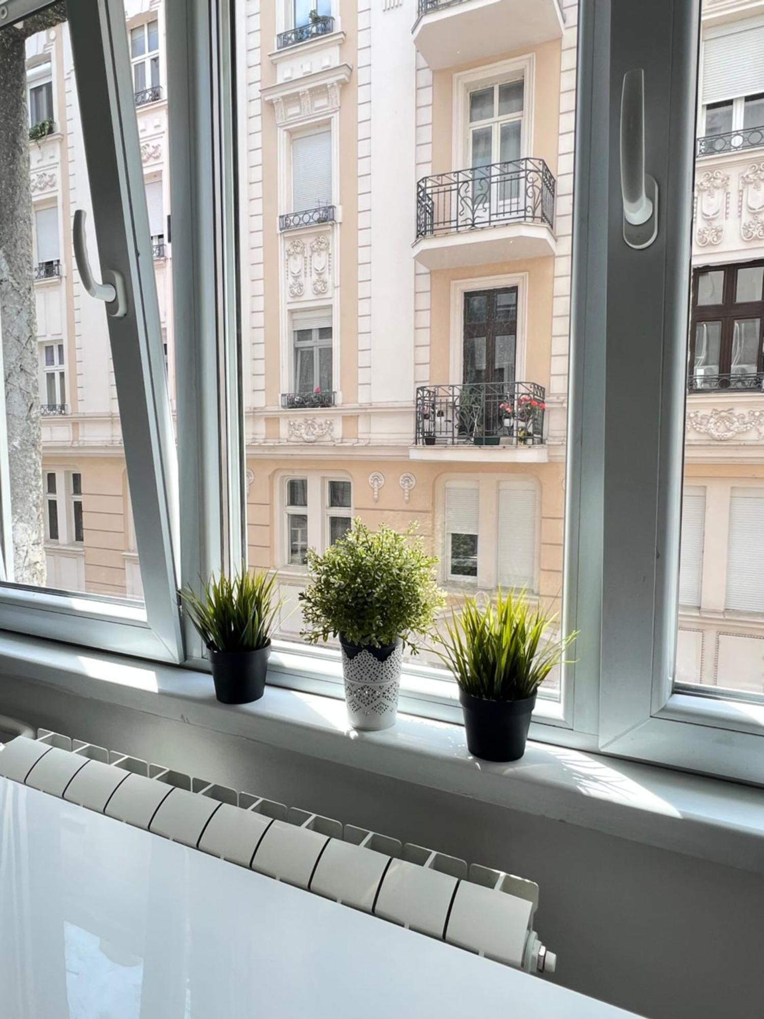 Cozy * Belgrade